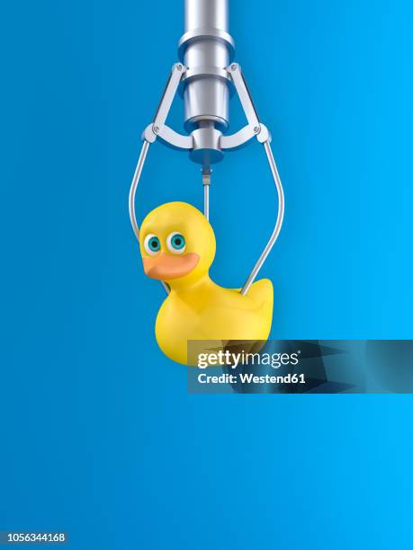 3d rendering, yellow rubber duck hovering in front of blue background - 3d bird stock-grafiken, -clipart, -cartoons und -symbole