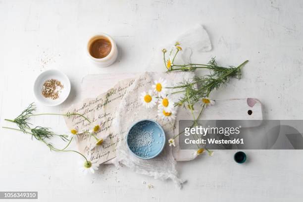 chamomile flowers, globules, tea and salve made of chamomile - homeopatía fotografías e imágenes de stock