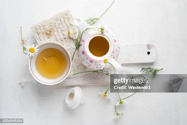 chamomile tea in pot and cup - chamomile plant fotografías e imágenes de stock