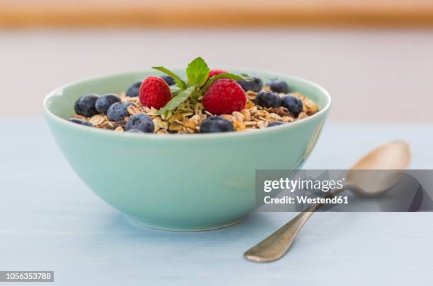 bowl of muesli with raspberries and blueberries - bol fotografías e imágenes de stock