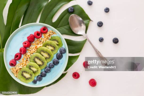 smoothie bowl with blueberries, raspberries, kiwi and chopped hazelnuts - blue bowl stock-fotos und bilder