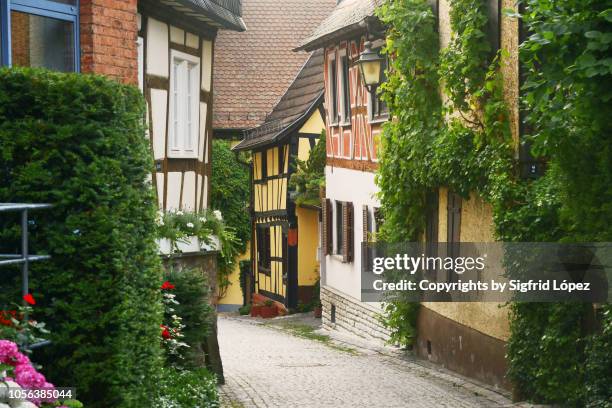 alley in hesse - taunusgebirge stock-fotos und bilder