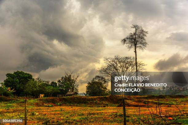 27 Cruzeiro Do Oeste Stock Photos, HighRes Pictures, and Images