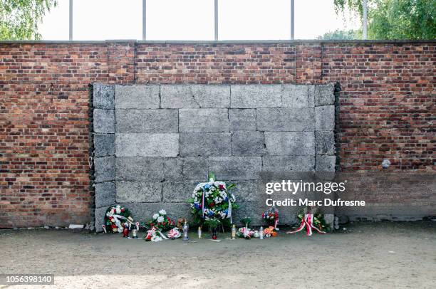 uitvoering muur waar mensen werden neergeschoten dood op het concentratiekamp auschwitz in polen tijdens zomerdag - ceremony to mark the 72nd anniversary of the end of world war ii in paris stockfoto's en -beelden