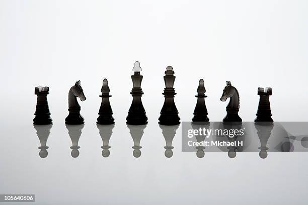 king or the queen of the imitation - chess piece stock pictures, royalty-free photos & images