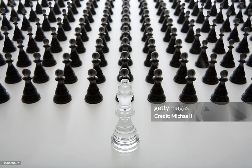 White King who governs a black pawn