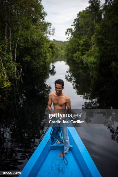 boat trip in tanjung puting national park, borneo, indonesia - island of borneo stock pictures, royalty-free photos & images