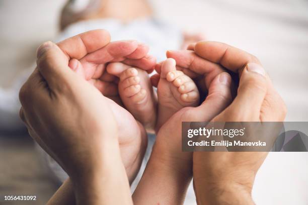 little baby feet in parents hands - born stockfoto's en -beelden
