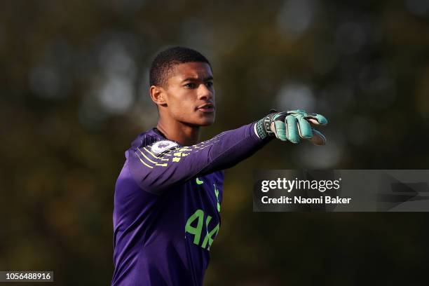 Brandon Austin of Tottenham Hotspur gives his team instruction during the Premier League 2 match between Tottenham Hotspur and Swansea City at...