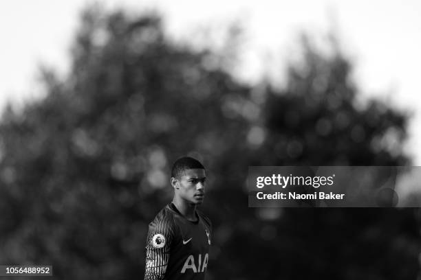 Brandon Austin of Tottenham Hotspur looks on during the Premier League 2 match between Tottenham Hotspur and Swansea City at Tottenham Hotspur...