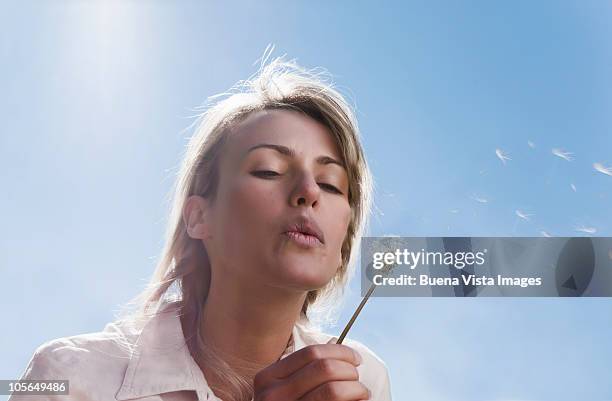 woman blowing dandelion  - soprando - fotografias e filmes do acervo