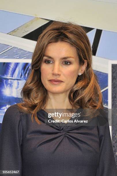 Princess Letizia of Spain attends "Ciudad Sostenible" awards at "Parque del Oeste" on October 18, 2010 in Madrid, Spain.