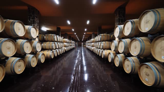 wine cellar vault