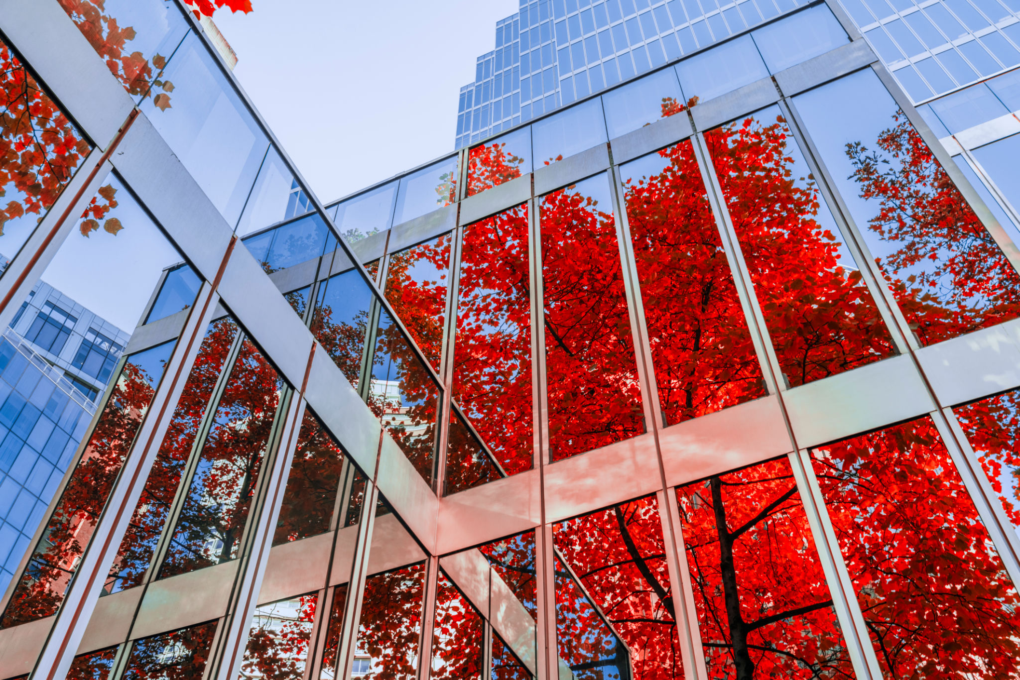 autumn reflection