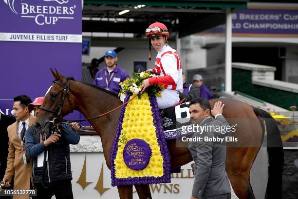 Irad Ortiz, Jr., riding Newspaperofrecord, celebrates after winning the Breeders' Cup Juvenile Fillies Turf at Churchill Downs on November 2, 2018 in...