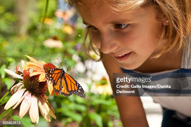 girl (6-7) looking at butterfly in garden. hilton head, south carolina, usa - butterflys closeup stock pictures, royalty-free photos & images
