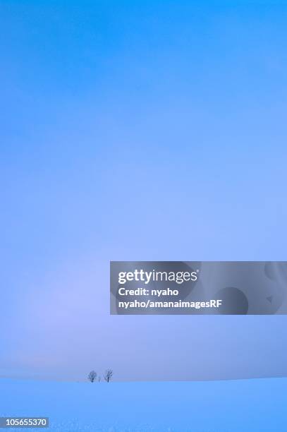 a snowy field and two trees at dawn. kamikawa, hokkaido, japan - biei town stock pictures, royalty-free photos & images