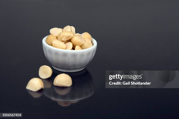 macadamia nuts - macadamia stock pictures, royalty-free photos & images