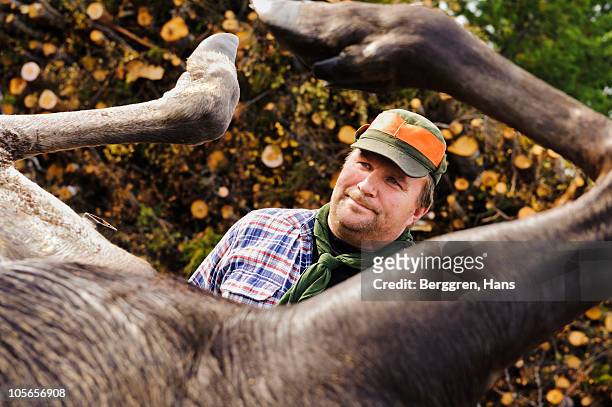 hunter looking at dead moose in forest - moose swedish stock pictures, royalty-free photos & images