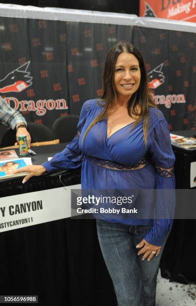 Christy Canyon appears at Exxxotica New Jersey 2018 at Expo Center on November 2, 2018 in Edison, New Jersey.