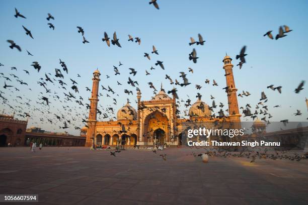 the heaven of the city - delhi jama masjid mosque stock-fotos und bilder