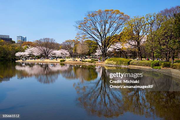 kitanomaru park in spring - kitanomaru park stock pictures, royalty-free photos & images