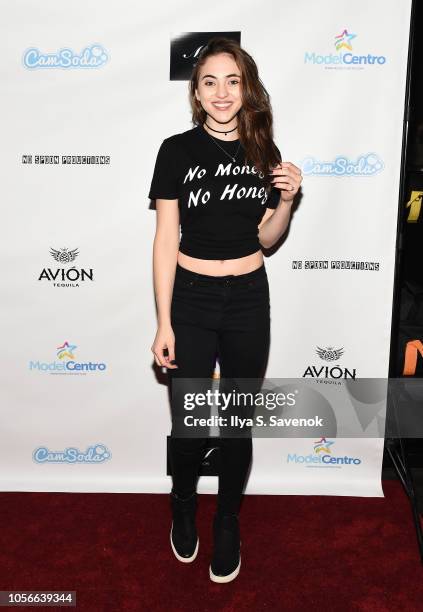 Danielle Cipolla attends Dinner With Dani Launch Party at The Mezzanine on November 2, 2018 in New York City.