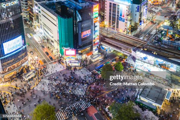 aerial view of shibuya crossing, tokyo, japan - shibuya ward stock pictures, royalty-free photos & images