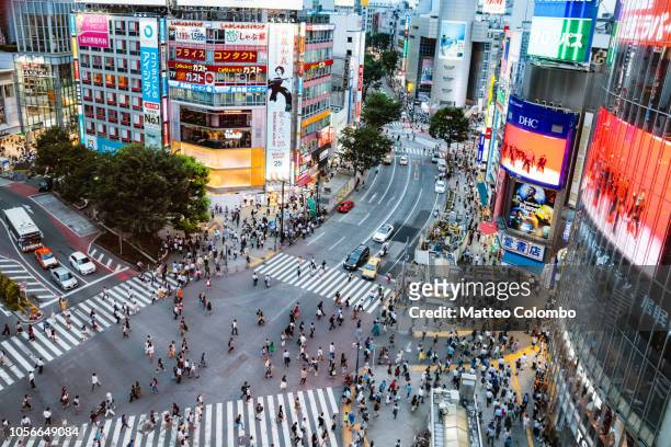 elevated view of shibuya zebra crossing, tokyo, japan - japan street stock pictures, royalty-free photos & images
