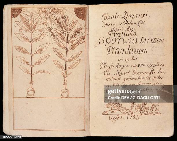 Frontispiece and title page of Praeludia sponsaliorum plantarum , by Carl Linnaeus , Uppsala, 1729.