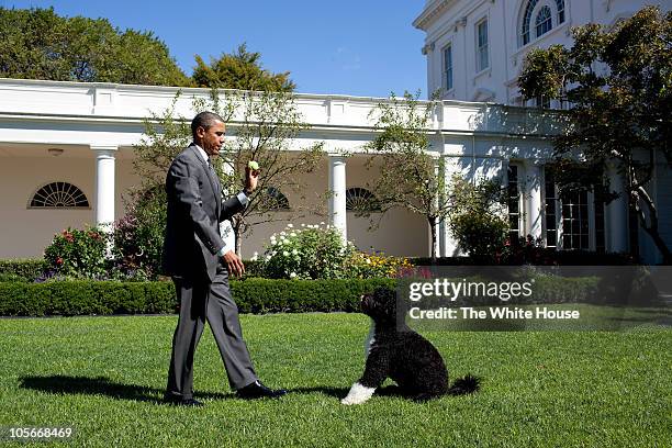 In this handout image provided by the White House, U.S. President Barack Obama throws a ball for Bo, the family dog, in the Rose Garden of the White...