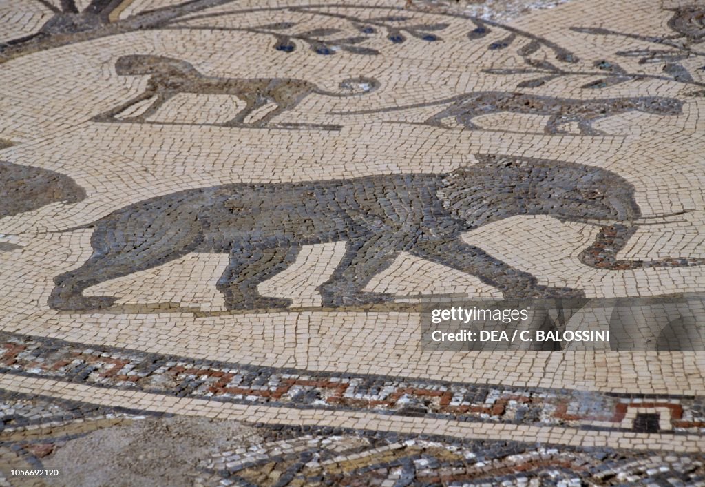 Elephant, detail from Orpheus Mosaic among animals