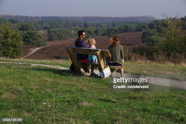 gelukkige familie - heather stockfoto's en -beelden