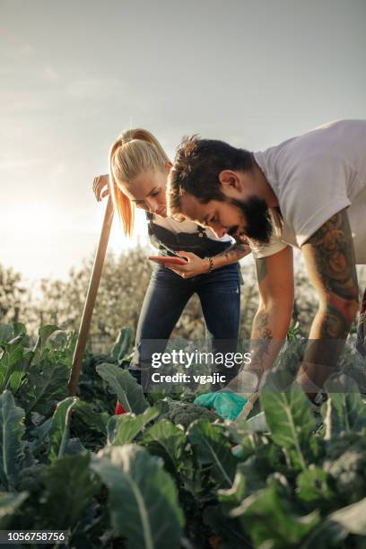 granja orgánica - farm couple fotografías e imágenes de stock