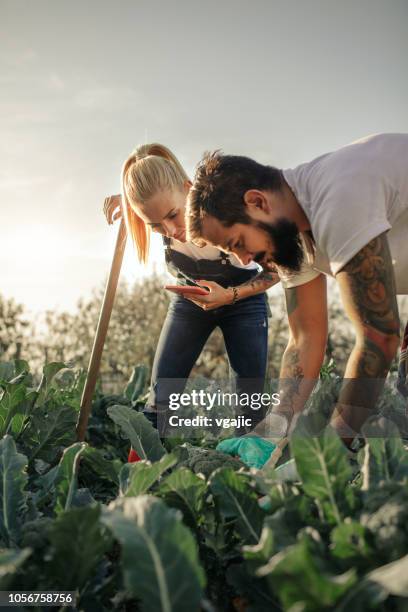 biologische boerderij - rural couple young stockfoto's en -beelden