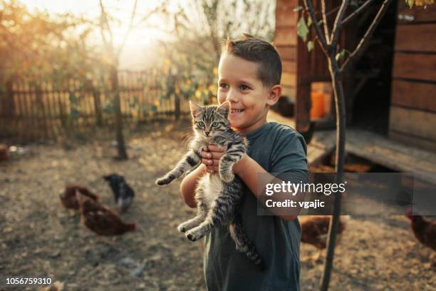 fattoria biologica e uova di gallina all'allevamento all'origine - kid holding cat foto e immagini stock