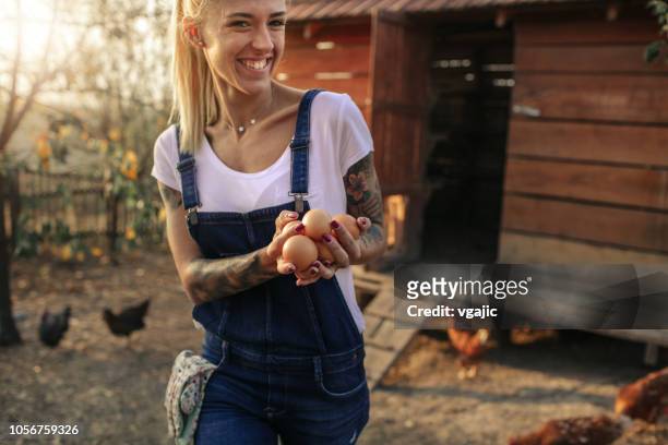 biologische boerderij en vrije uitloop kippeneieren - kippenhok stockfoto's en -beelden