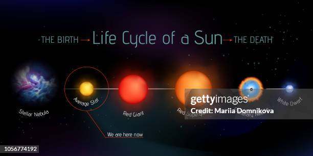 sun life cycle vector - life cycle stock illustrations