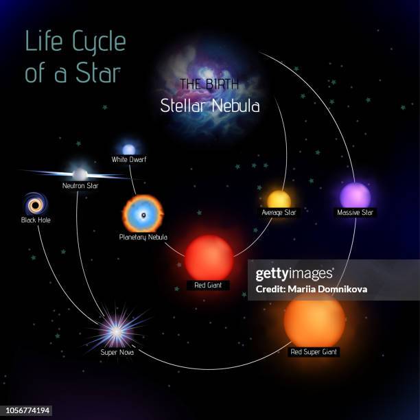 sun life-cycle-vektor in rundform - produktlebenszyklus stock-grafiken, -clipart, -cartoons und -symbole