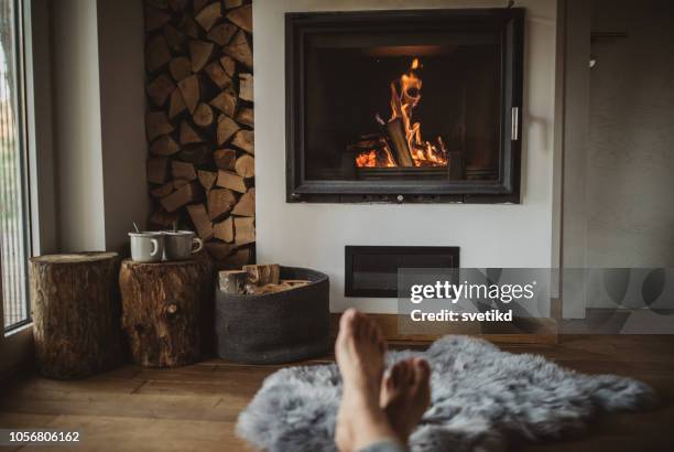 meilleure façon de passer la journée d’hiver - foyer de cheminée photos et images de collection