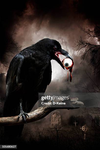 raven - scary bloody stock pictures, royalty-free photos & images