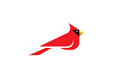 Cardinal Bird Logo