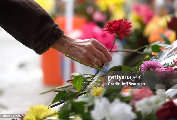 Visitor lays a flower on the makeshift memorial Saturday morning in front of the Tree of Life Synagogue on November 3, 2018 in Pittsburgh,...