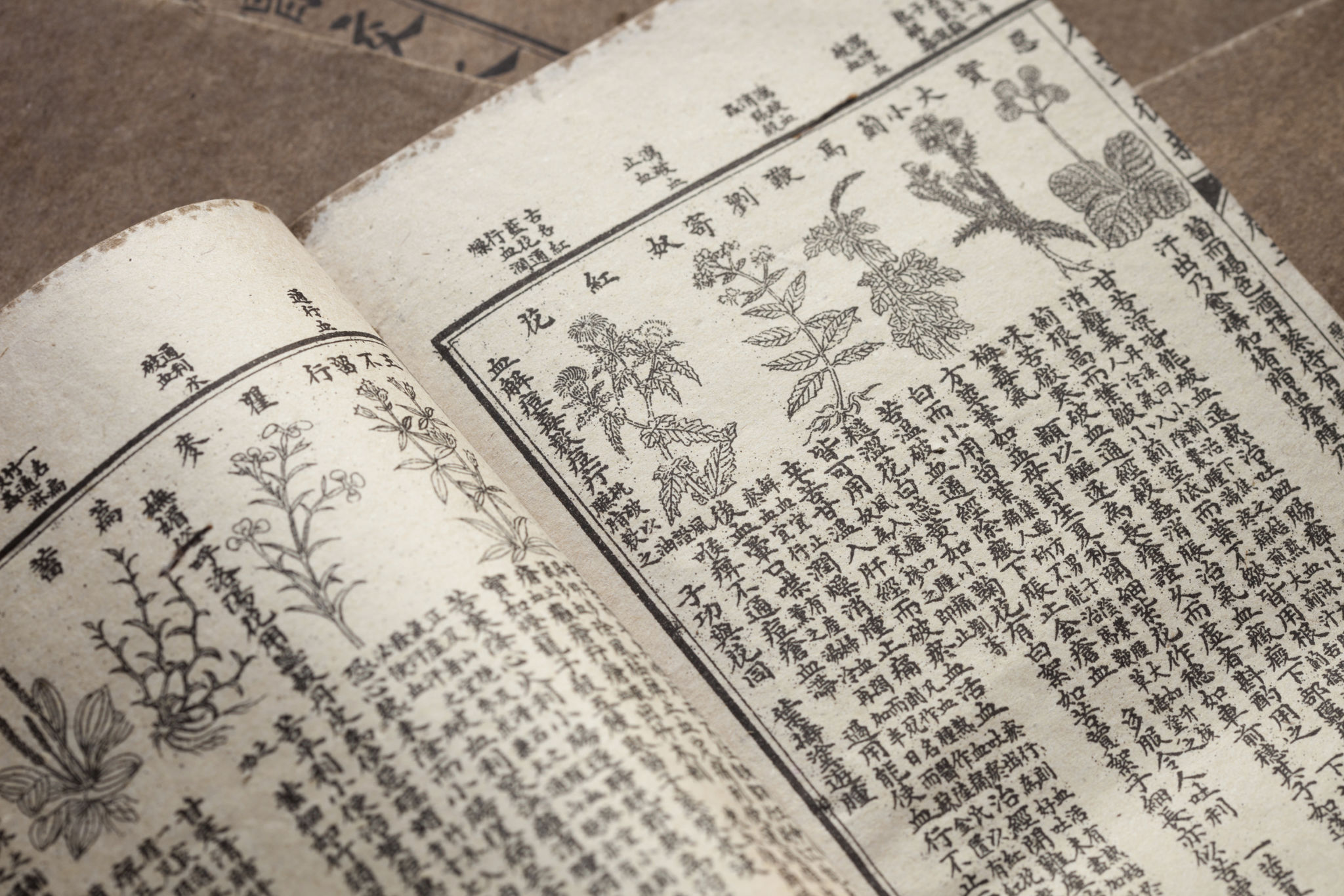 ancient herbs