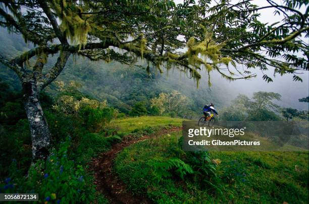 mountain bike costa rica - costa rica stock pictures, royalty-free photos & images