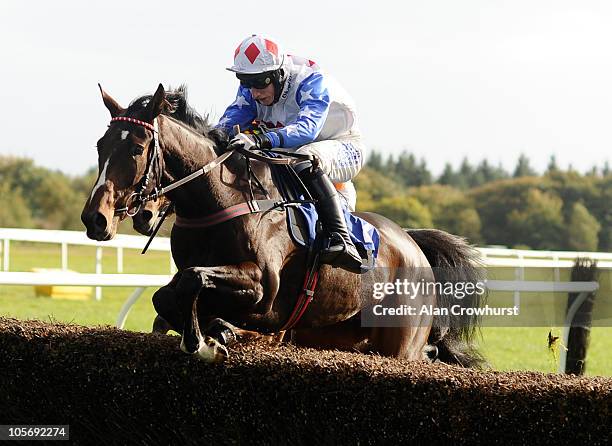 Daryl Jacob riding Diamond Brook leap the second last fence to win The Best Mate Beginners' Steeple Chase at Exeter racecourse on October 19, 2010 in...