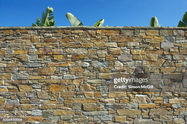 stone surrounding wall with palm leaves and clear sky - mur de pierres photos et images de collection
