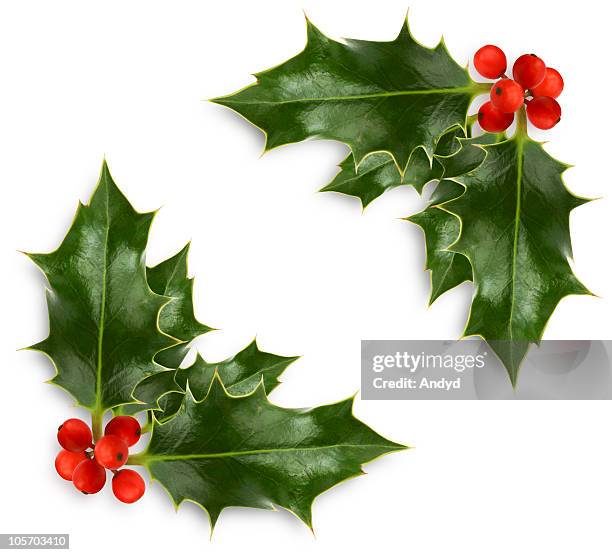 christmas holly corner - christmas decoration stock pictures, royalty-free photos & images