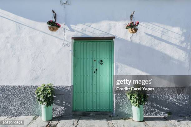 green rustic door with potted plants in seville,spain - andalusia fotografías e imágenes de stock