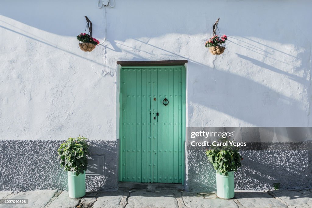 Green rustic door with potted plants in Seville,Spain